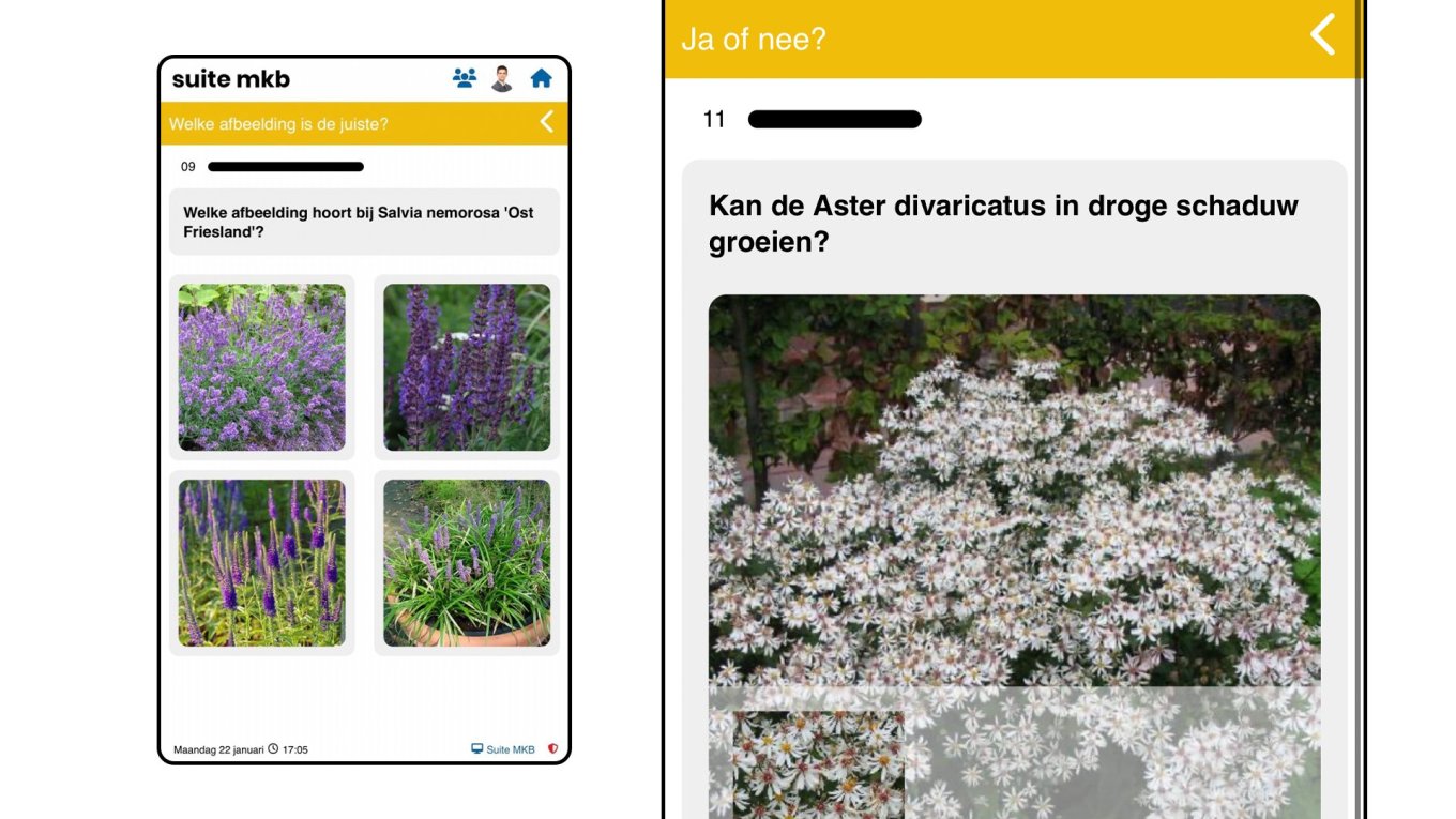 Suite MKB lanceert landelijke Plantengame voor 2024 Suite MKB lanceert landelijke Plantengame voor 2024