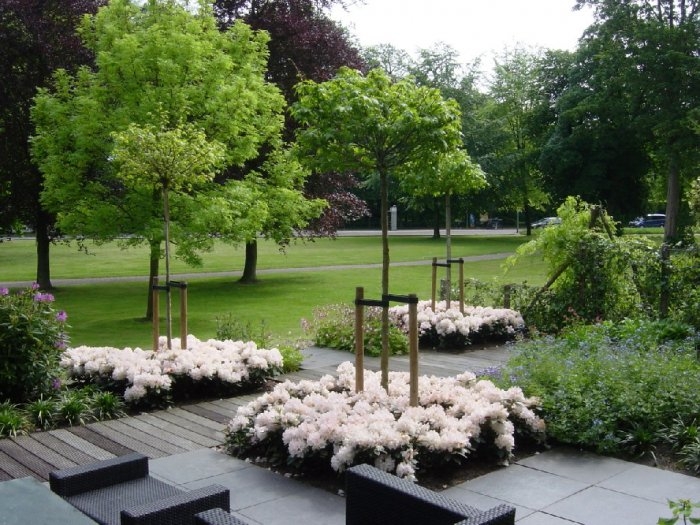 Eikelenboom Groenprojecten Eikelenboom Groenprojecten