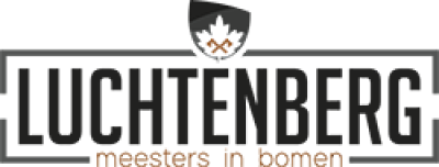 Luchtenberg Meesters in bomen Luchtenberg Meesters in bomen