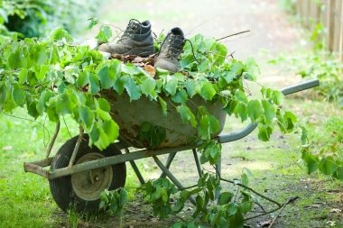 Laban Tuinprojecten Laban Tuinprojecten