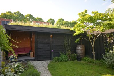 Het Groene Doel Het Groene Doel