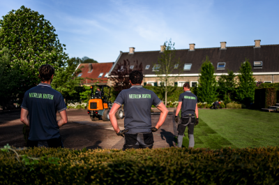 Kok Hoveniers Kok Hoveniers