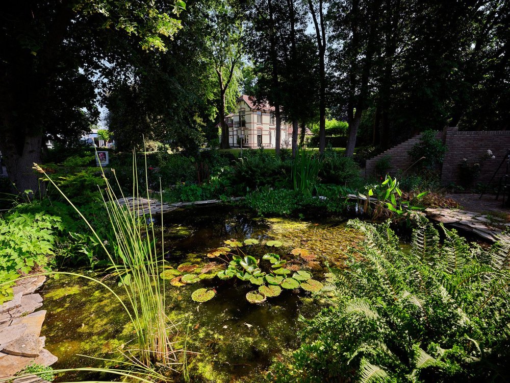 Topgarden Hovenier Topgarden Hovenier