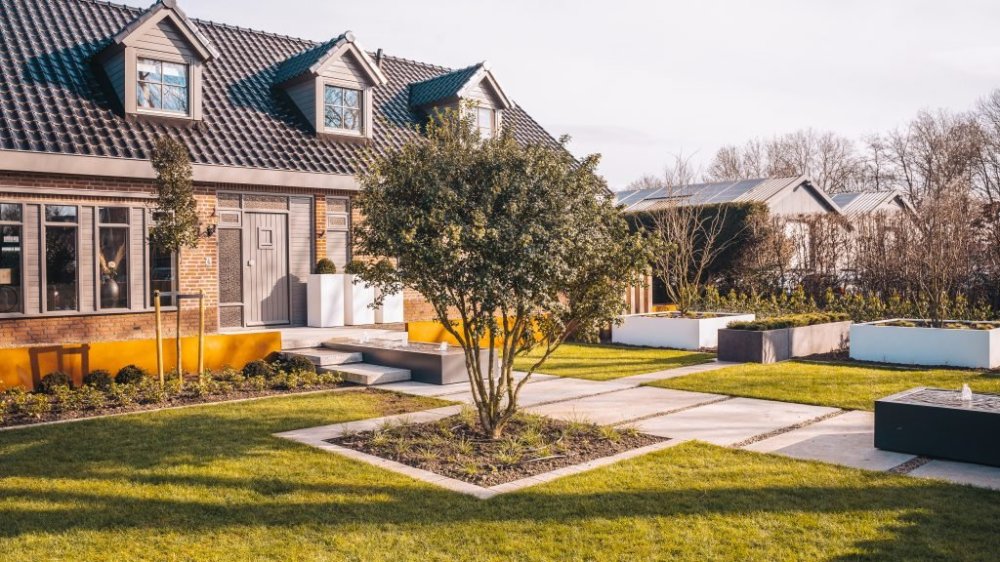 Bunt Groen Bunt Groen
