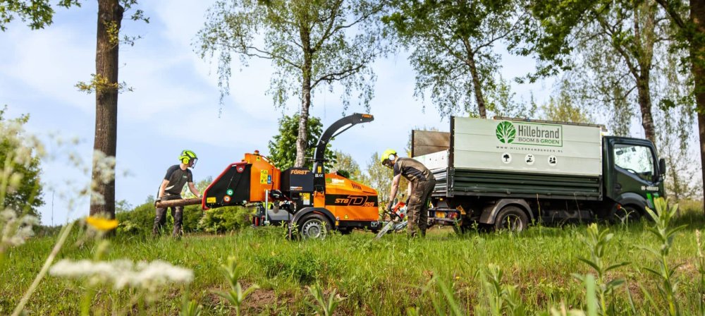 Hillebrand Boom & Groen Hillebrand Boom & Groen