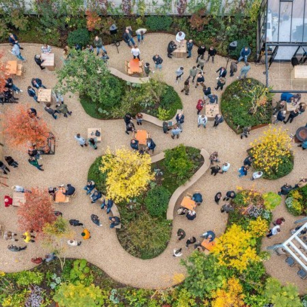 The Urban Jungle Project