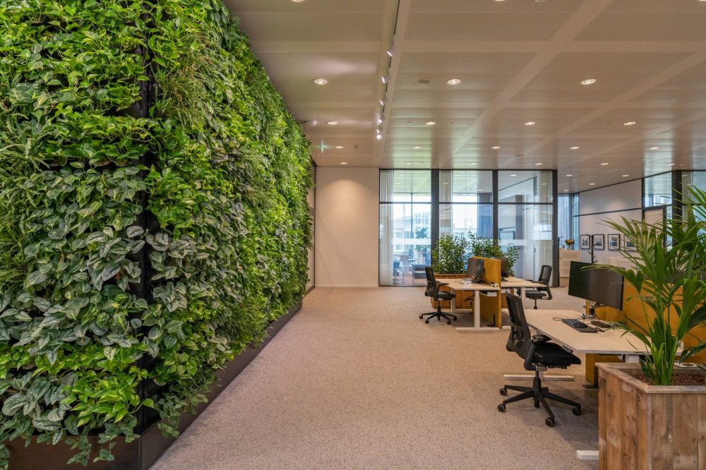 Roessink Interieurbeplanting
