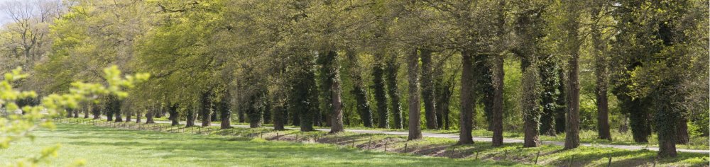 Gidding Buiten-Zorg
