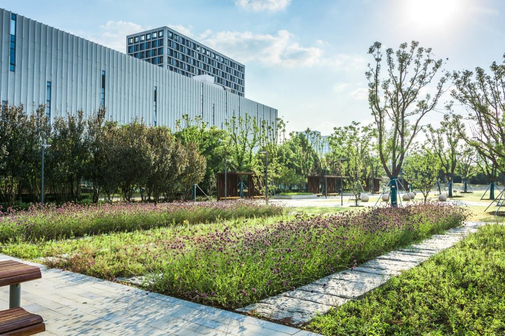 Balkenende Hoveniers Balkenende Hoveniers