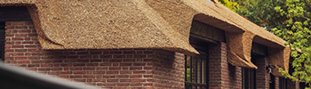 Rietdekkersbedrijf van den Berg Rietdekkersbedrijf van den Berg
