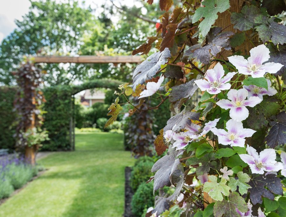 Bosman Tuinadvies Bosman Tuinadvies