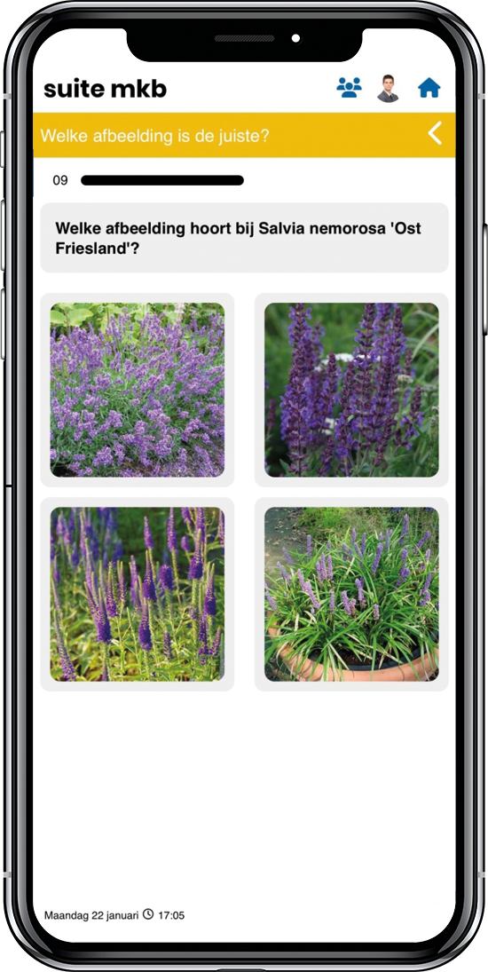 <p>De plantengame is van start gegaan. Een game voor hoveniers waarbij ze een jaar lang elke dag een vraag krijgen over planten met als doel de plantenkennis te vergroten.</p>