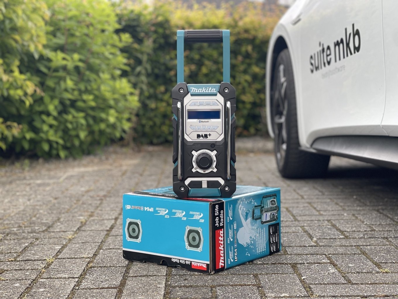 28181-IMG_2354 28181-IMG_2354